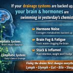 The Missing Link Between Lymph, Glymphatics, Hormones, and Metabolic Health